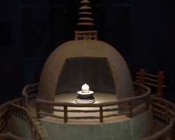 The museum also includes a tree that is 200 million old and it is said that the ashes of some great leaders like Gautam Buddha are kept under this gia